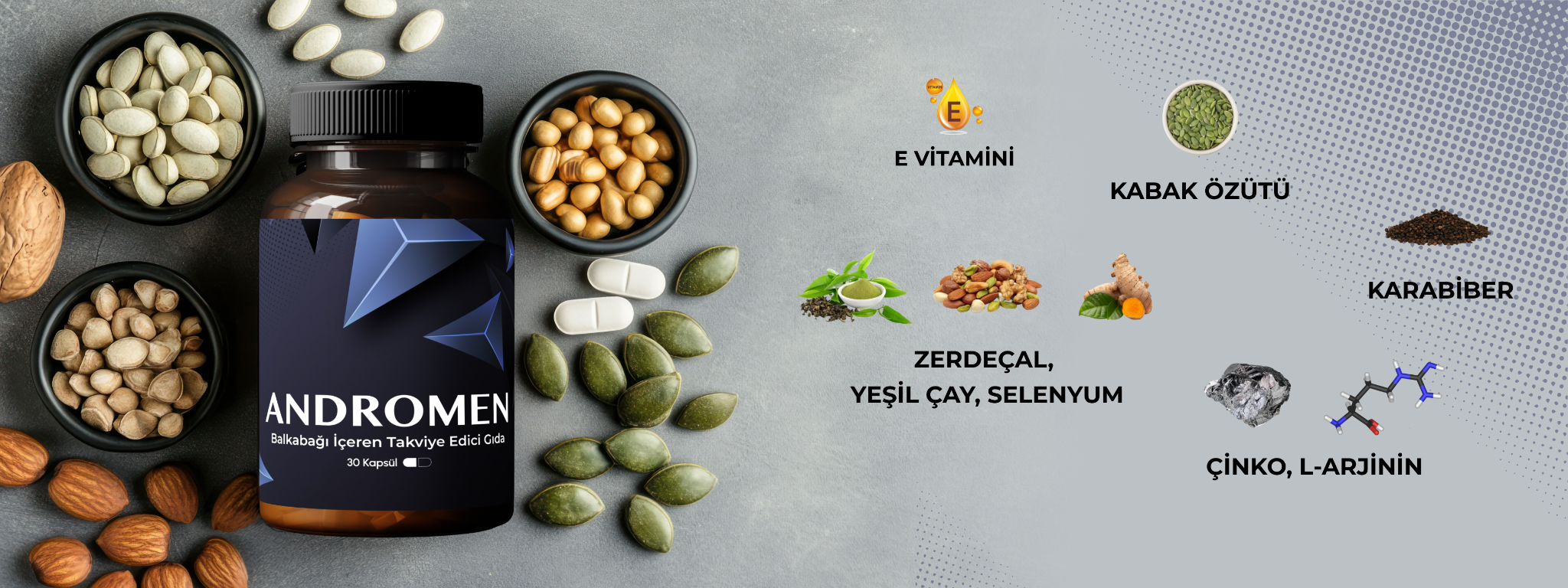 Andromen bileşenleri ve kapsüller